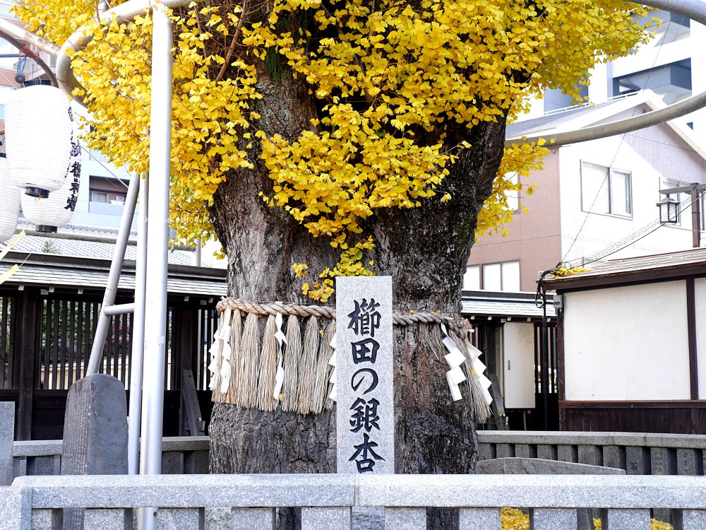福岡景點「櫛田神社」四季皆美近上川端通商店街、博多運河城、中洲屋台一日行程推薦 @Maruko(丸子)與美食有個約會