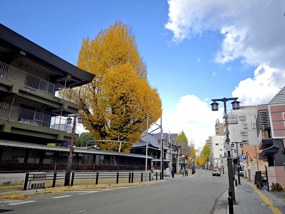 福岡景點「櫛田神社」四季皆美近上川端通商店街、博多運河城、中洲屋台一日行程推薦 @Maruko(丸子)與美食有個約會
