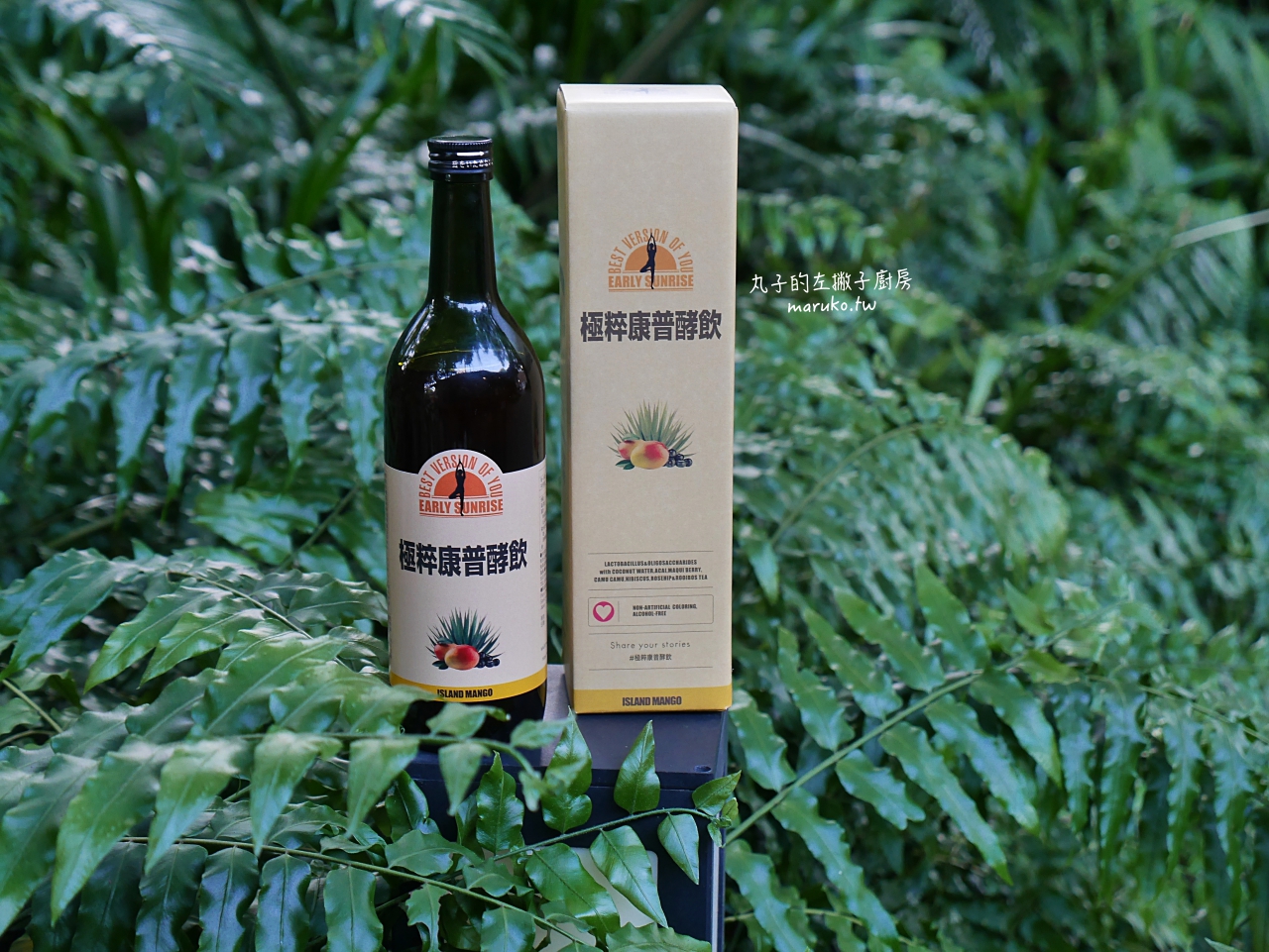 【食譜】極粹康普酵飲/搭餐入菜二種清爽無法單夏日甜點(日式蕨餅糰子/桑椹莓果氣泡飲) @Maruko(丸子)與美食有個約會 【食譜】極粹康普酵飲/搭餐入菜二種清爽無法單夏日甜點(日式蕨餅糰子/桑椹莓果氣泡飲) @Maruko(丸子)與美食有個約會
