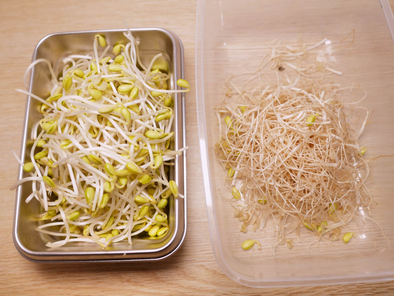 【食譜】韓式涼拌豆芽 夏天的清爽涼拌菜 只要二種調味料就搞定 @Maruko(丸子)與美食有個約會