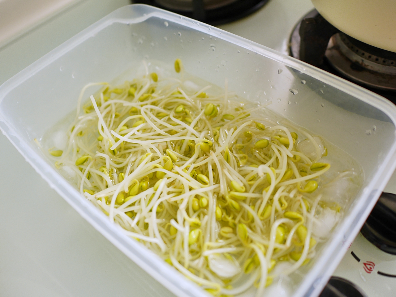 【食譜】韓式涼拌豆芽 夏天的清爽涼拌菜 只要二種調味料就搞定 @Maruko(丸子)與美食有個約會