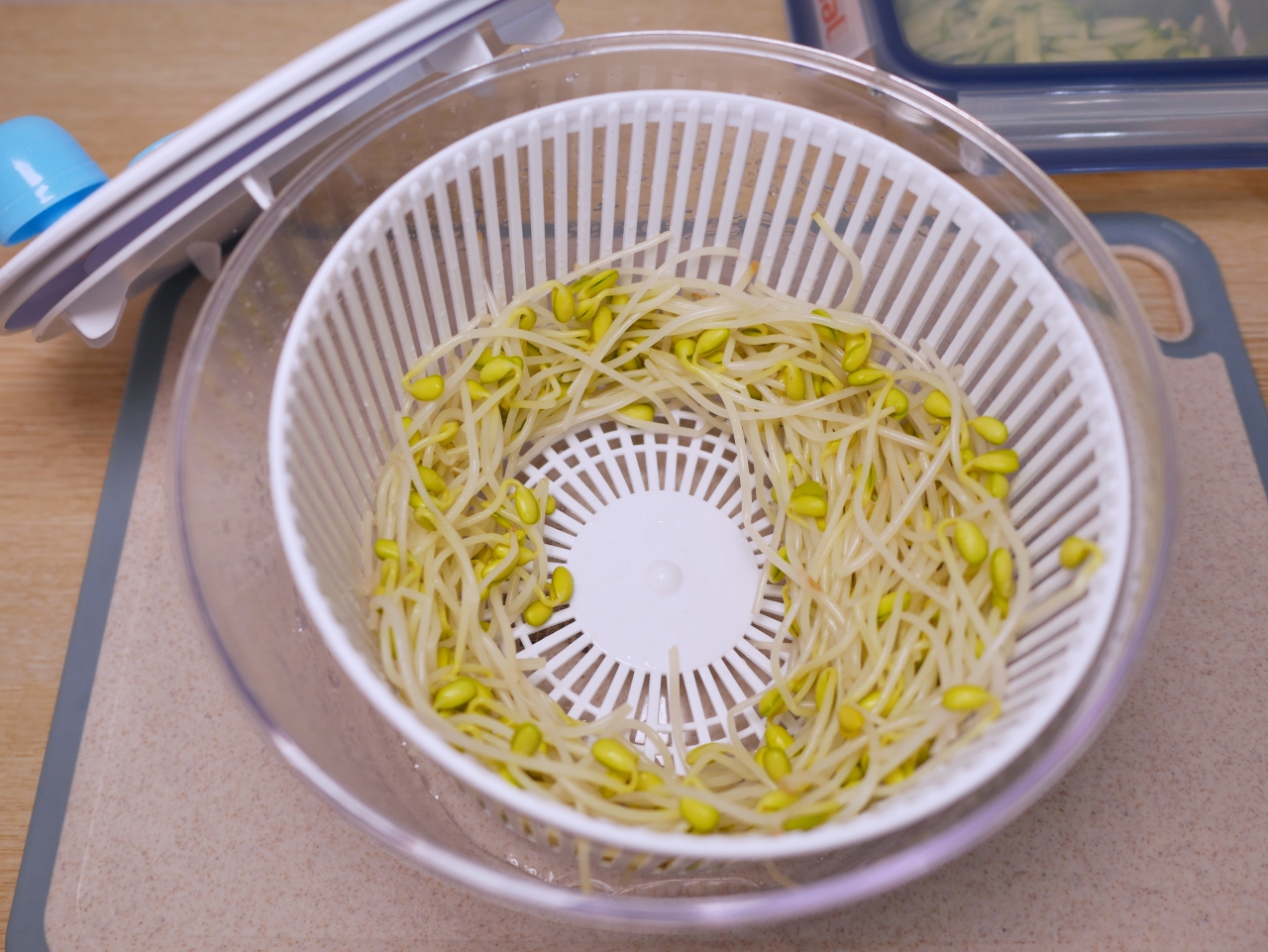 【食譜】韓式涼拌豆芽 夏天的清爽涼拌菜 只要二種調味料就搞定 @Maruko(丸子)與美食有個約會 【食譜】韓式涼拌豆芽 夏天的清爽涼拌菜 只要二種調味料就搞定 @Maruko(丸子)與美食有個約會