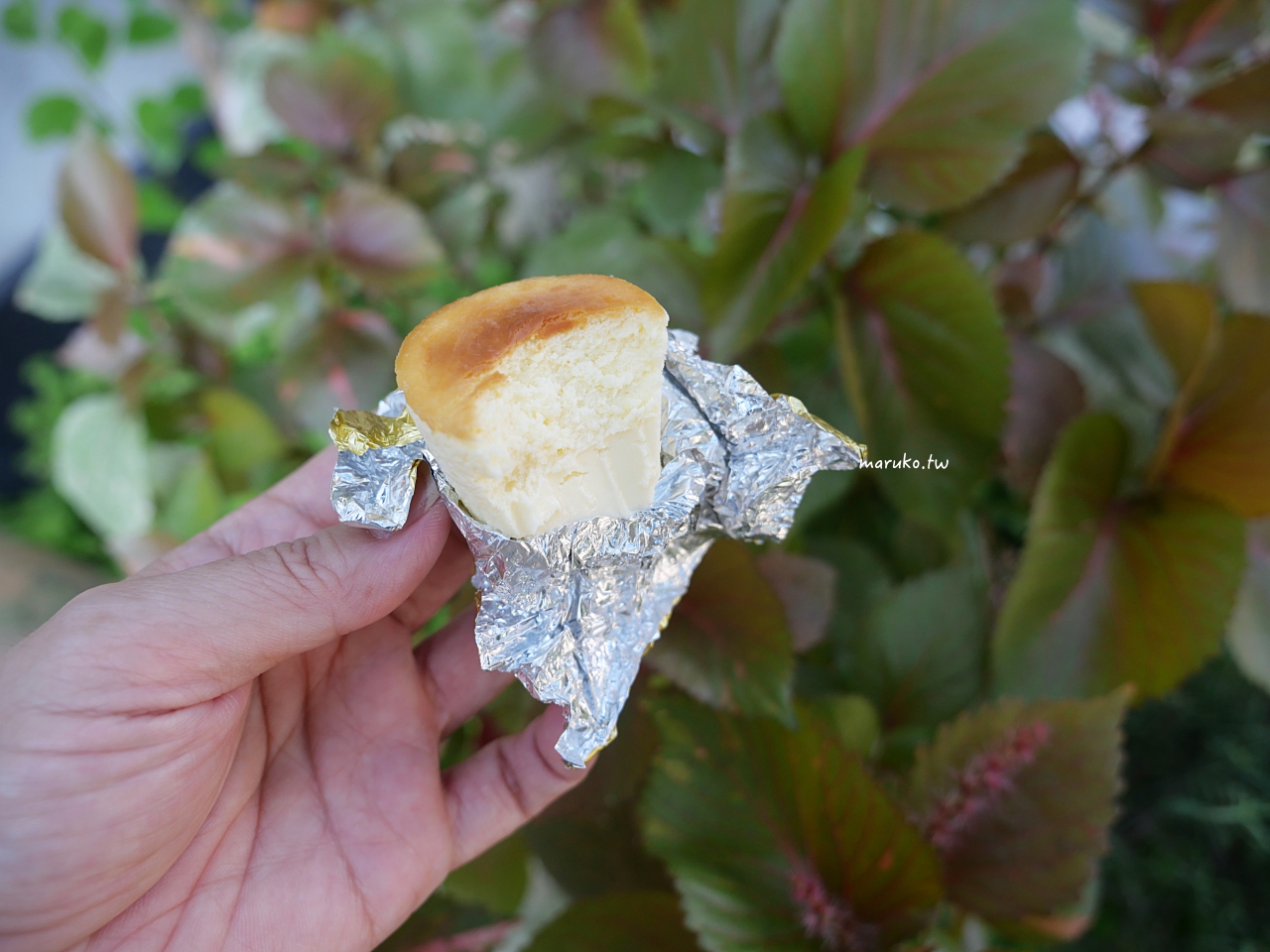 【台中】禾雅堂經典乳酪蛋糕 在地最有氣質的黃金乳酪蛋糕 台中必買伴手禮推薦 @Maruko(丸子)與美食有個約會 【台中】禾雅堂經典乳酪蛋糕 在地最有氣質的黃金乳酪蛋糕 台中必買伴手禮推薦 @Maruko(丸子)與美食有個約會