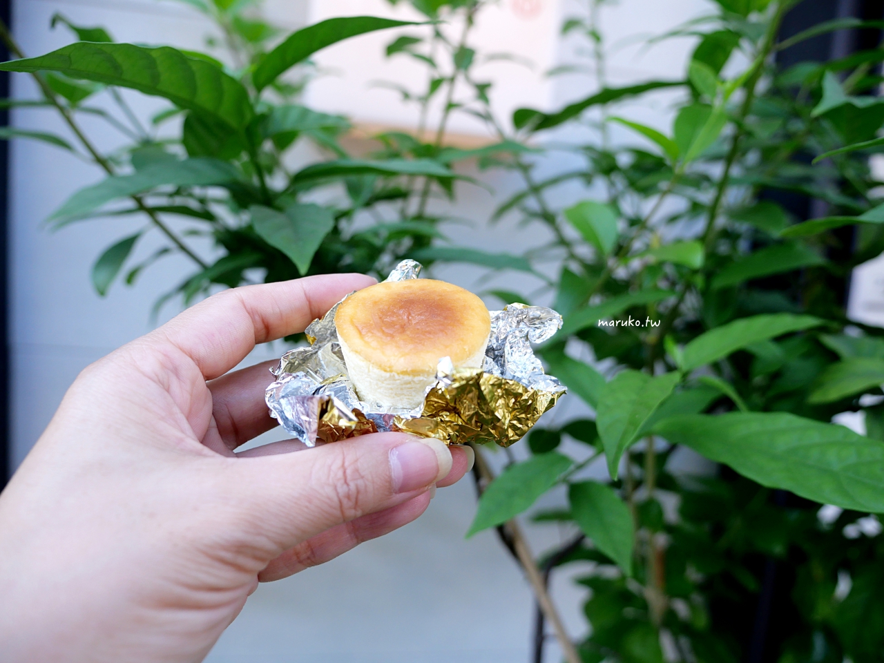 【台中】禾雅堂經典乳酪蛋糕 在地最有氣質的黃金乳酪蛋糕 台中必買伴手禮推薦 @Maruko(丸子)與美食有個約會 【台中】禾雅堂經典乳酪蛋糕 在地最有氣質的黃金乳酪蛋糕 台中必買伴手禮推薦 @Maruko(丸子)與美食有個約會