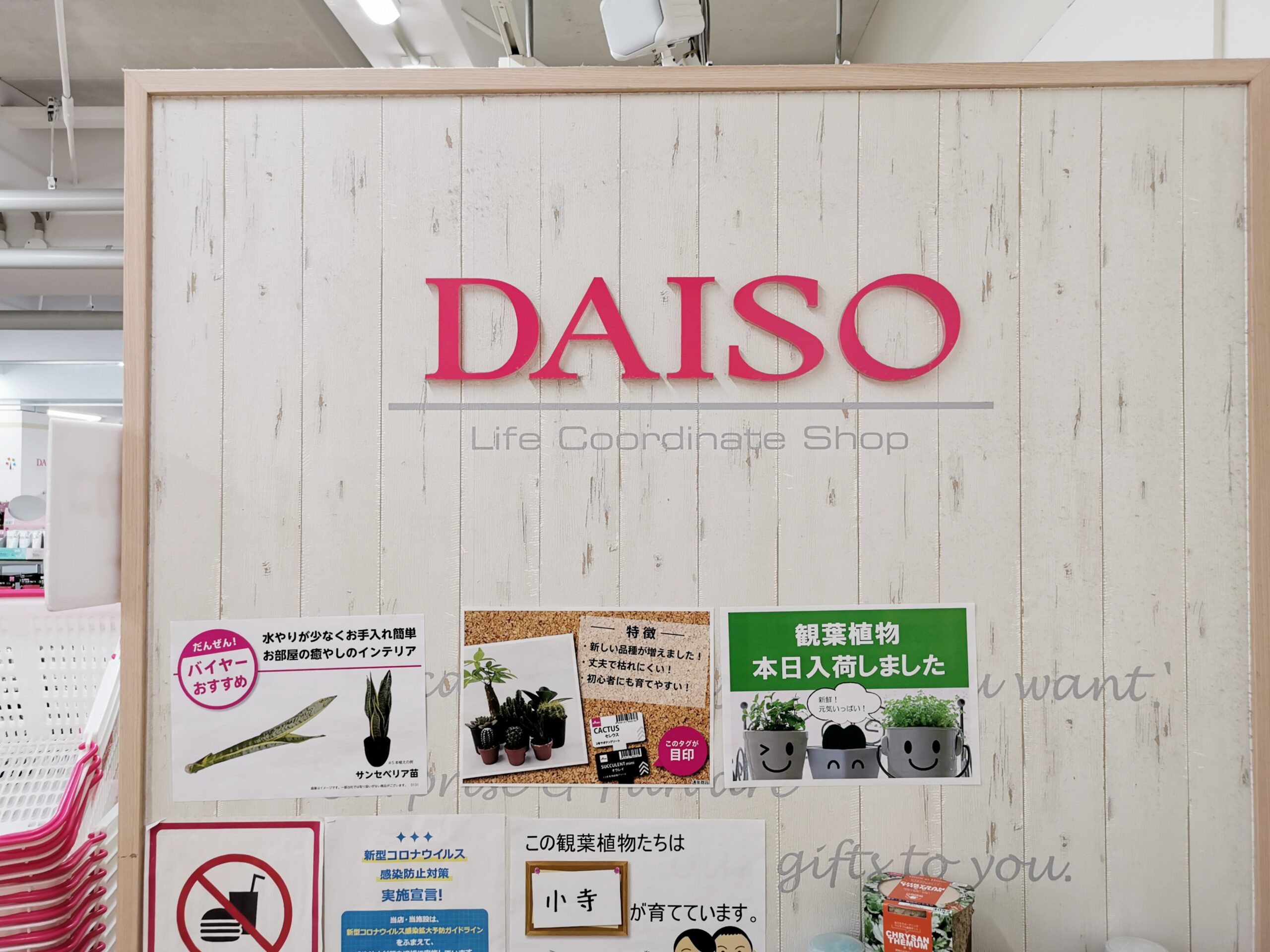 【京都購物推薦】新京極商店街逛街地圖｜藥妝、LOFT、3COINS一次買齊！ @Maruko(丸子)與美食有個約會