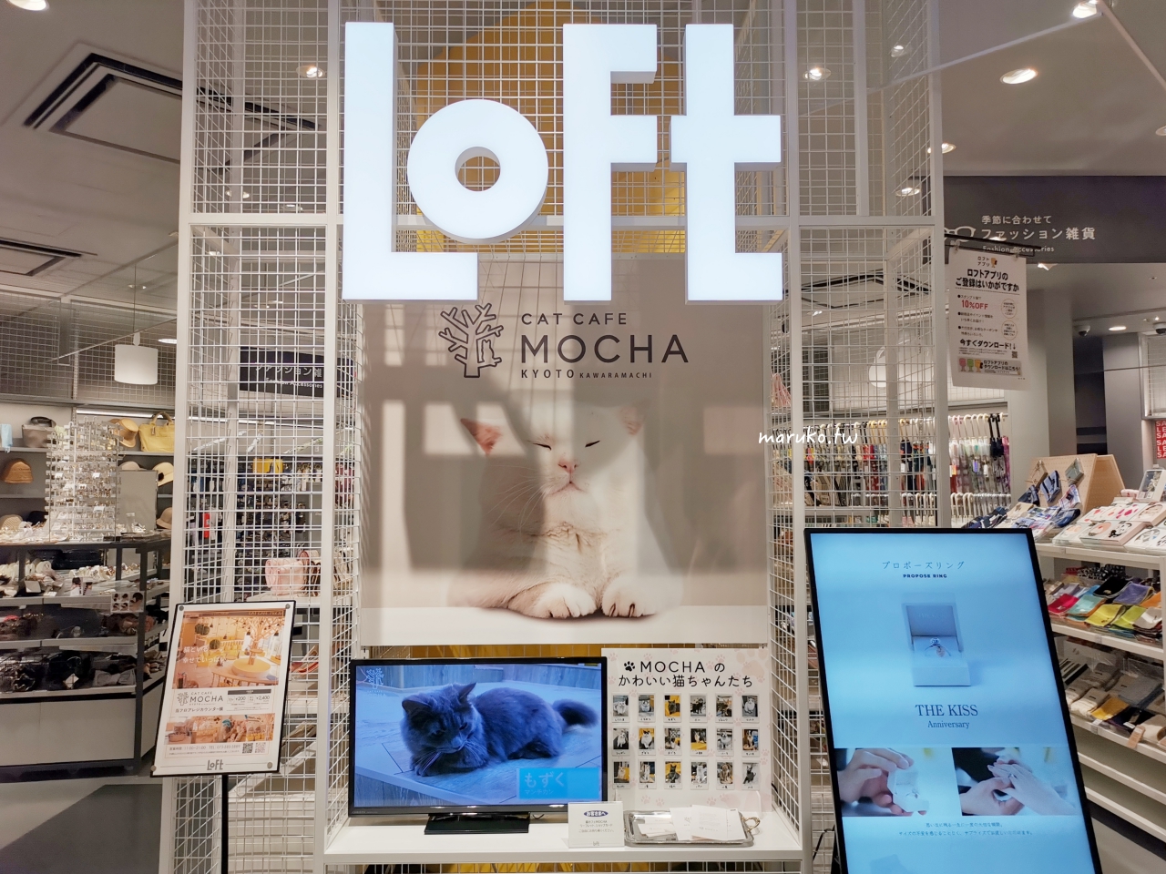【京都購物推薦】新京極商店街逛街地圖｜藥妝、LOFT、3COINS一次買齊！ @Maruko(丸子)與美食有個約會