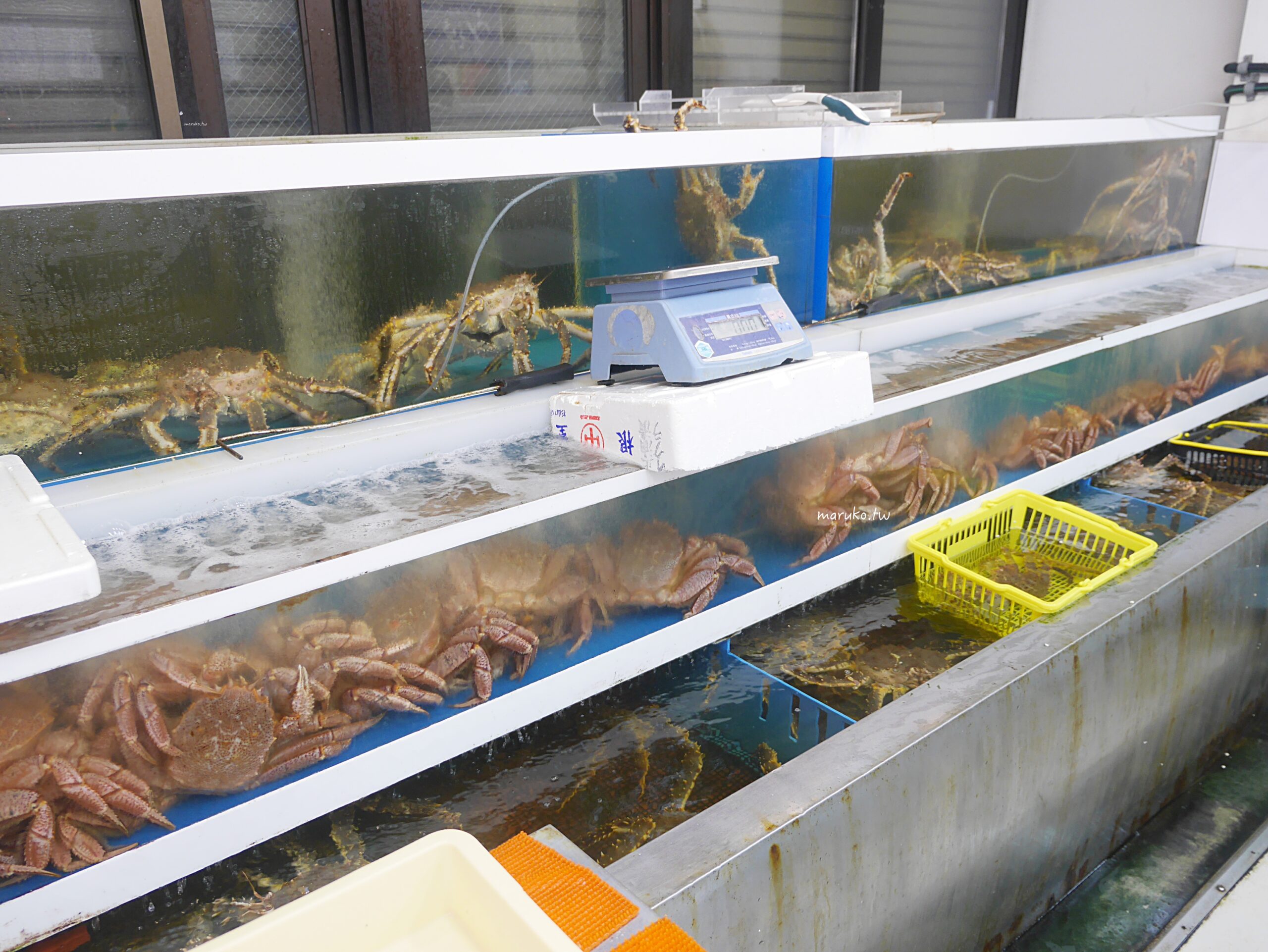 【札幌】うめぇ堂 (美味堂) 市場必吃現撈螃蟹料理、海鮮丼,札幌中央批發市場場外市場餐廳推薦! @Maruko(丸子)與美食有個約會 【札幌】うめぇ堂 (美味堂) 市場必吃現撈螃蟹料理、海鮮丼,札幌中央批發市場場外市場餐廳推薦! @Maruko(丸子)與美食有個約會