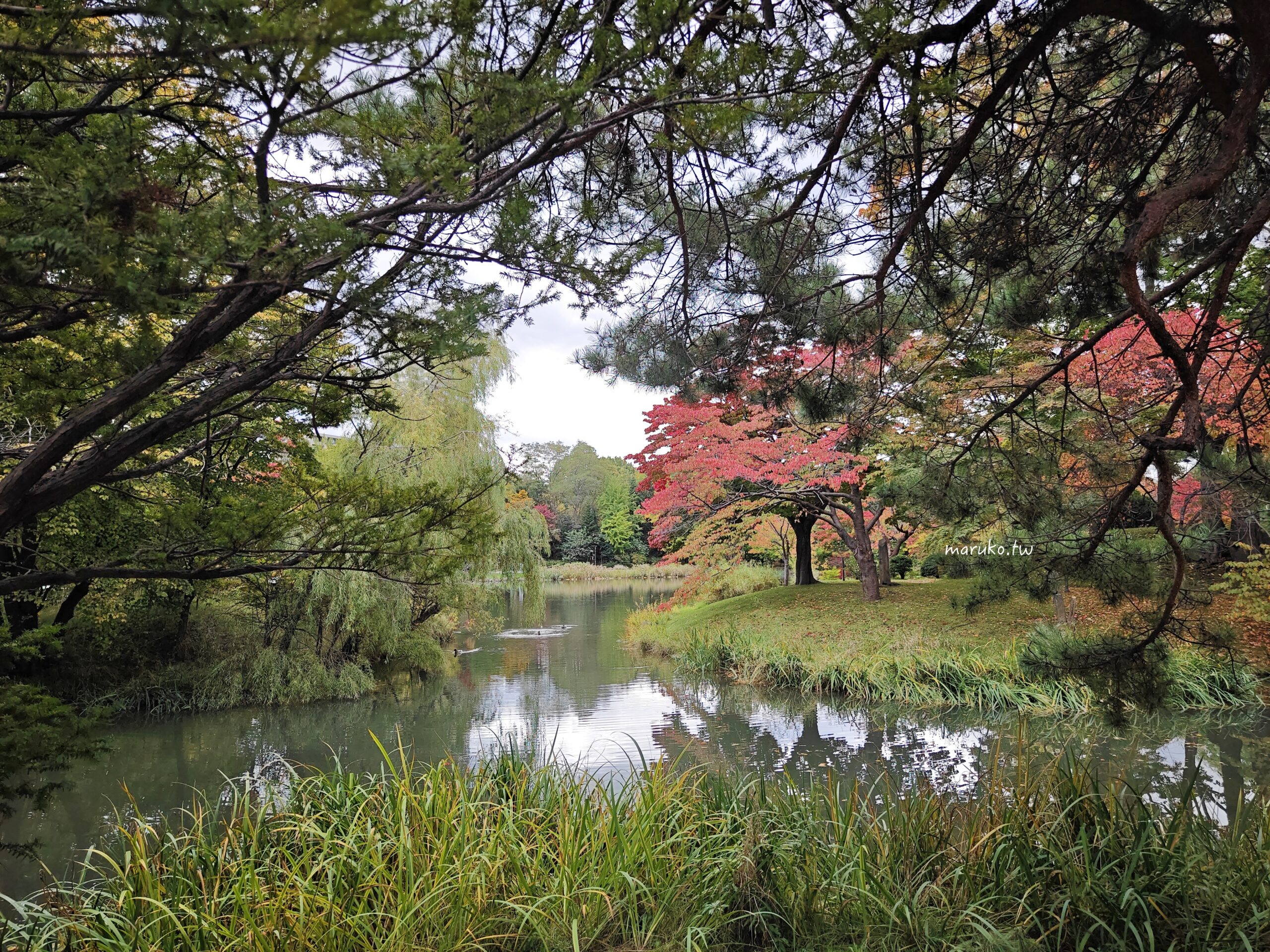 【札幌景點】中島公園｜佐藤健《初戀》取景地，日本百大都市公園四季皆美，札幌市中心最療癒的散步景點 @Maruko(丸子)與美食有個約會