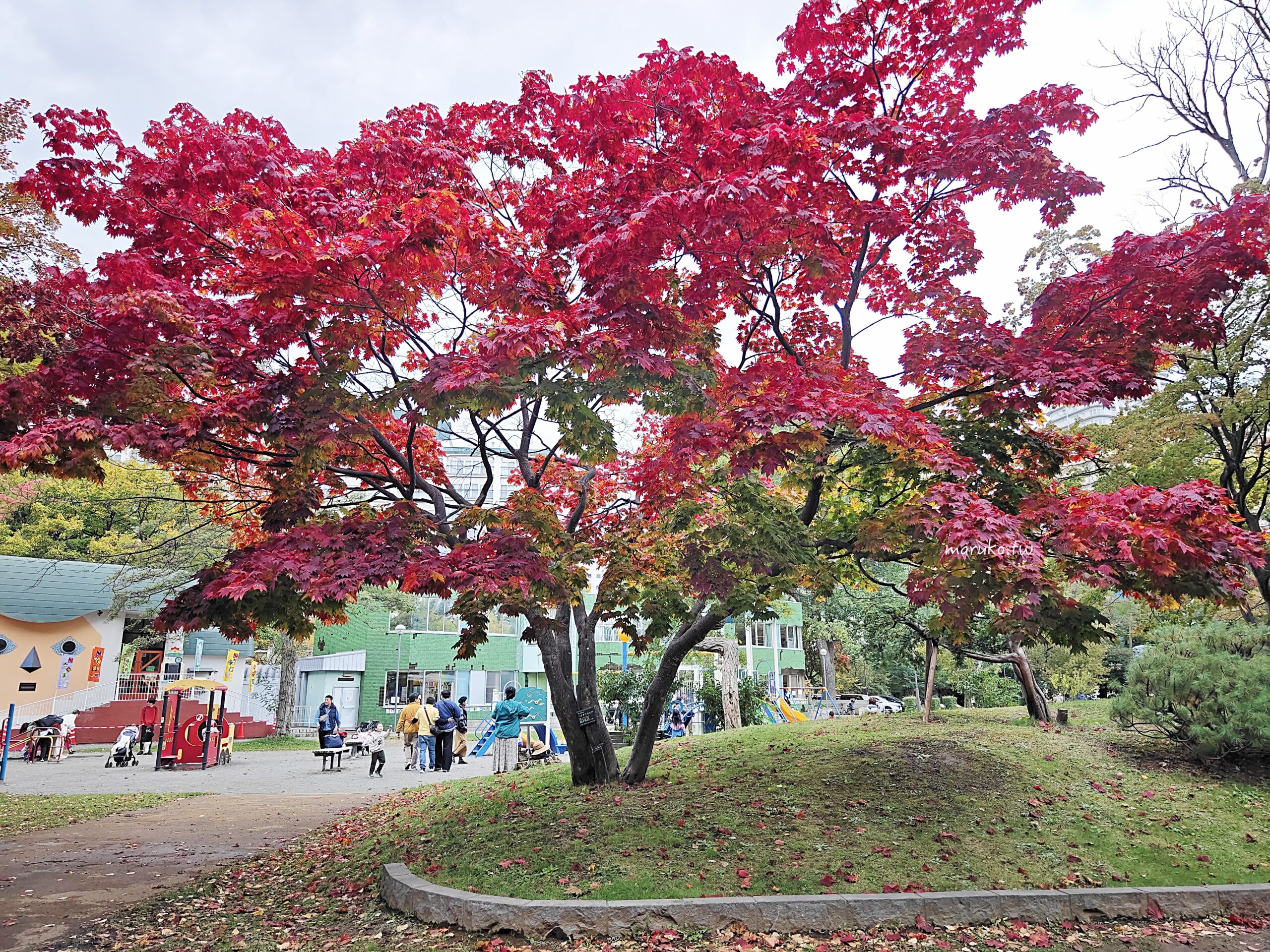 【札幌景點】中島公園|佐藤健《初戀》取景地,日本百大都市公園四季皆美,札幌市中心最療癒的散步景點 @Maruko(丸子)與美食有個約會 【札幌景點】中島公園|佐藤健《初戀》取景地,日本百大都市公園四季皆美,札幌市中心最療癒的散步景點 @Maruko(丸子)與美食有個約會