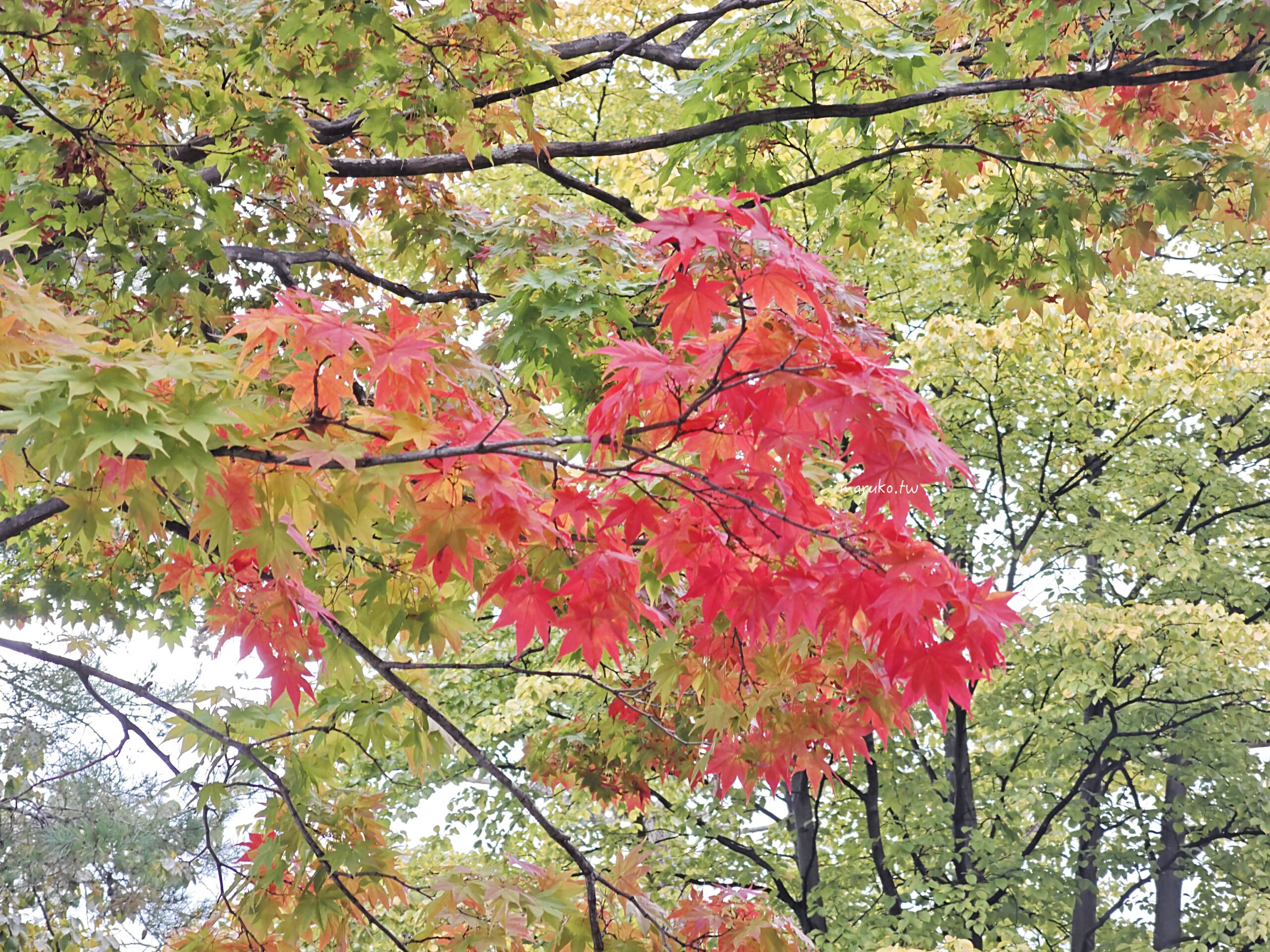 【札幌景點】中島公園|佐藤健《初戀》取景地,日本百大都市公園四季皆美,札幌市中心最療癒的散步景點 @Maruko(丸子)與美食有個約會 【札幌景點】中島公園|佐藤健《初戀》取景地,日本百大都市公園四季皆美,札幌市中心最療癒的散步景點 @Maruko(丸子)與美食有個約會