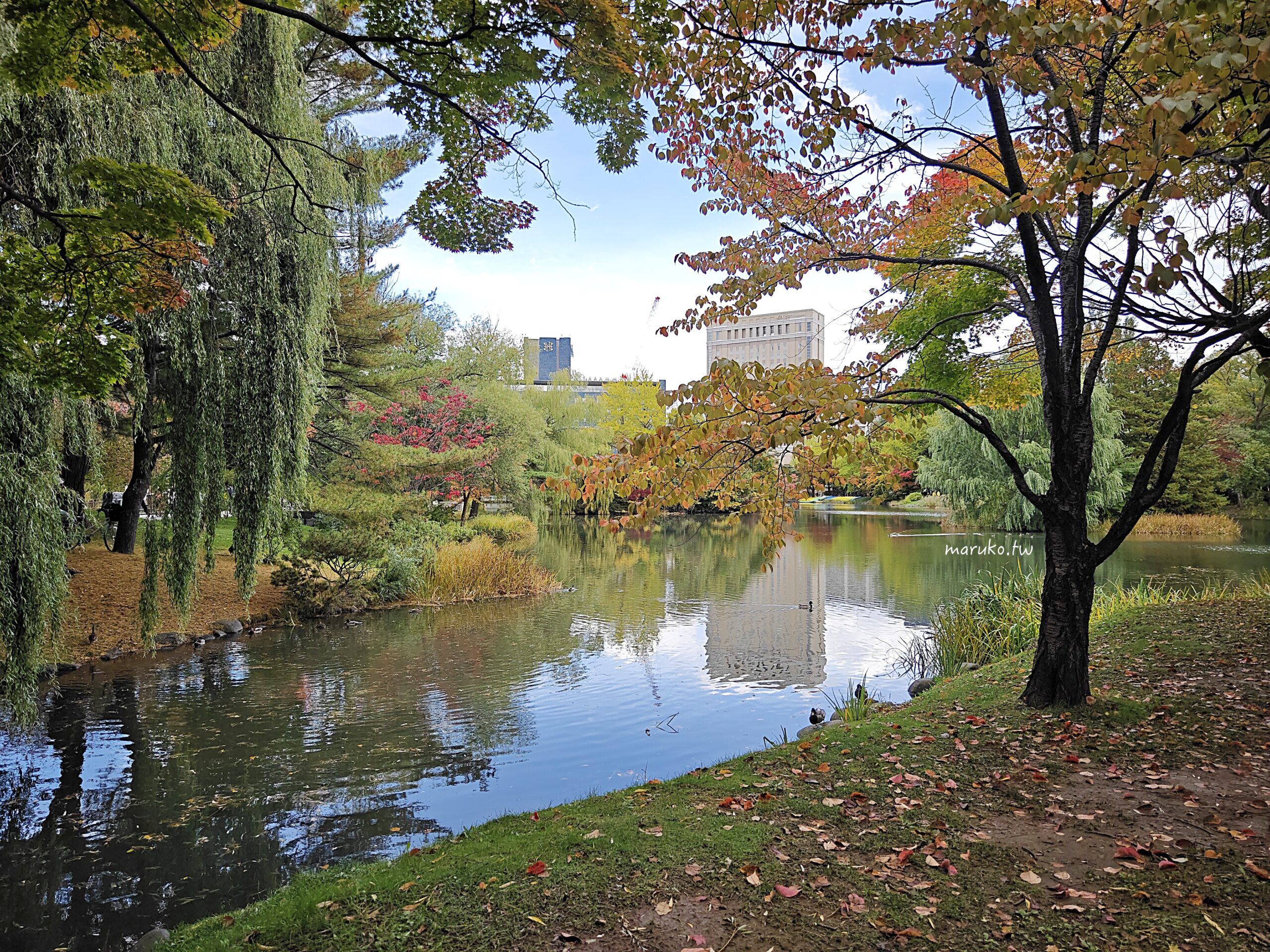 【札幌景點】中島公園｜佐藤健《初戀》取景地，日本百大都市公園四季皆美，札幌市中心最療癒的散步景點 @Maruko(丸子)與美食有個約會