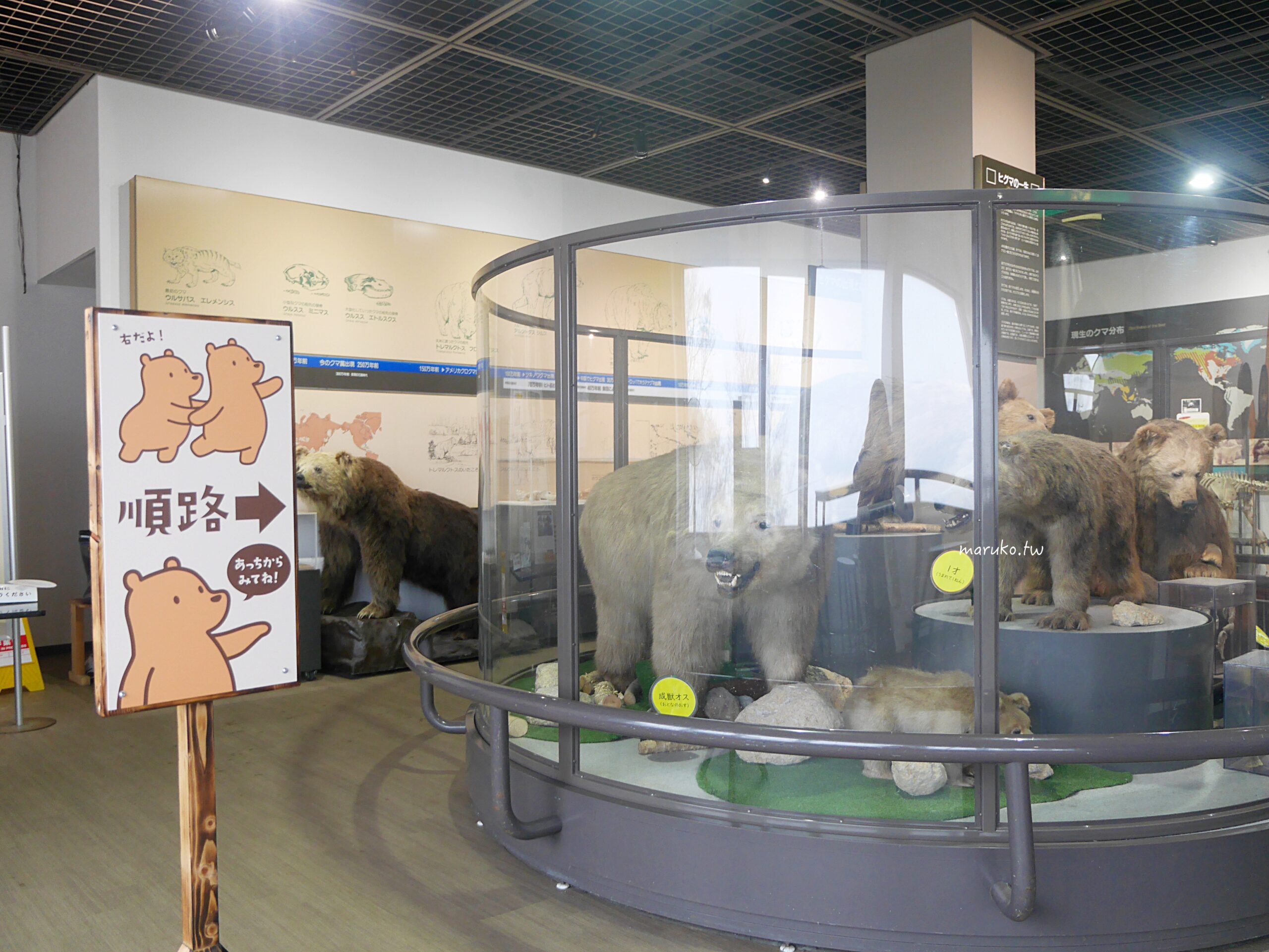 【北海道登別】登別棕熊牧場 搭纜車眺望俱多樂湖展望台，登別溫泉老街週邊景點推薦！ @Maruko(丸子)與美食有個約會