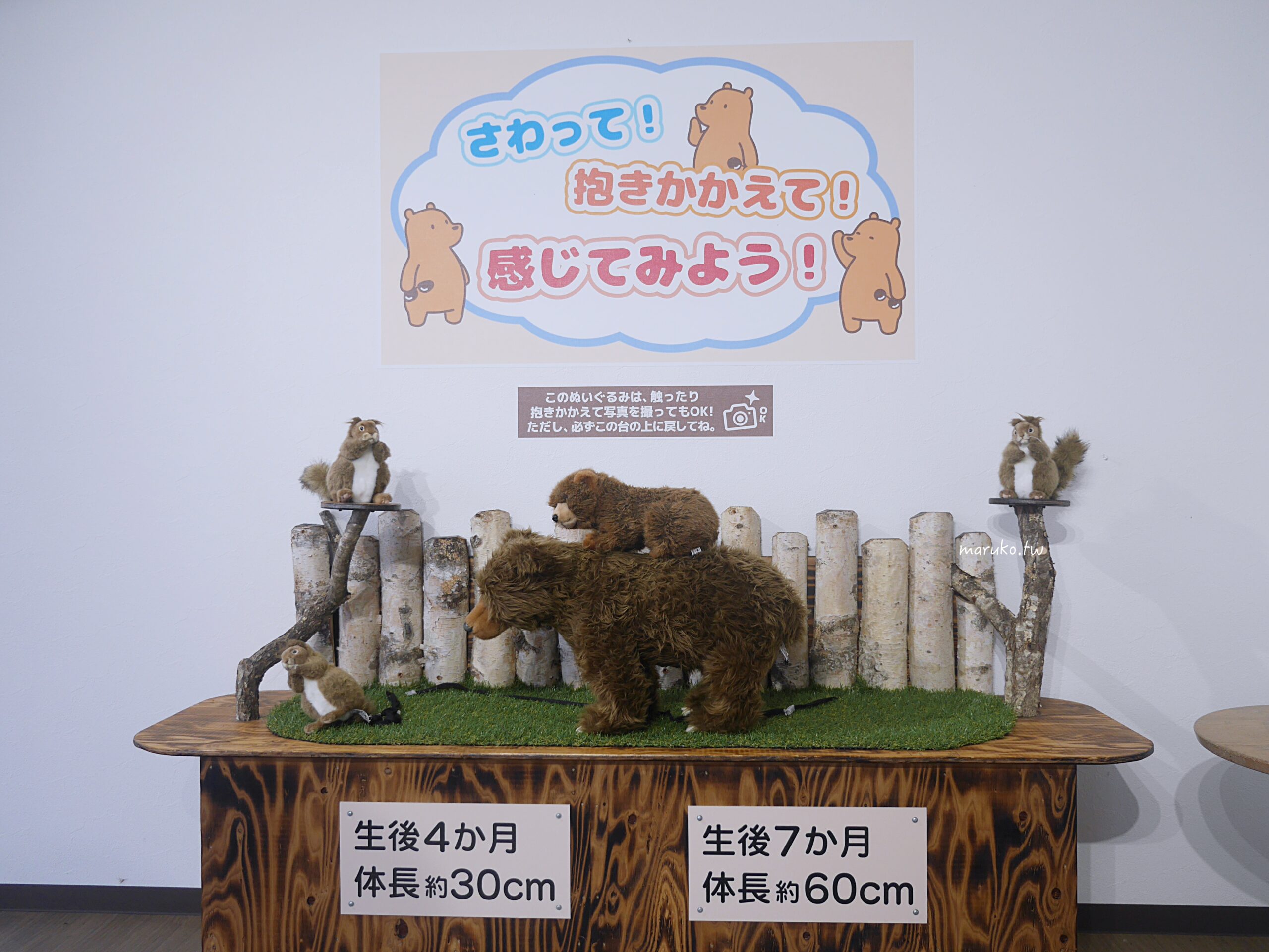 【北海道登別】登別棕熊牧場 搭纜車眺望俱多樂湖展望台,登別溫泉老街週邊景點推薦! @Maruko(丸子)與美食有個約會 【北海道登別】登別棕熊牧場 搭纜車眺望俱多樂湖展望台,登別溫泉老街週邊景點推薦! @Maruko(丸子)與美食有個約會