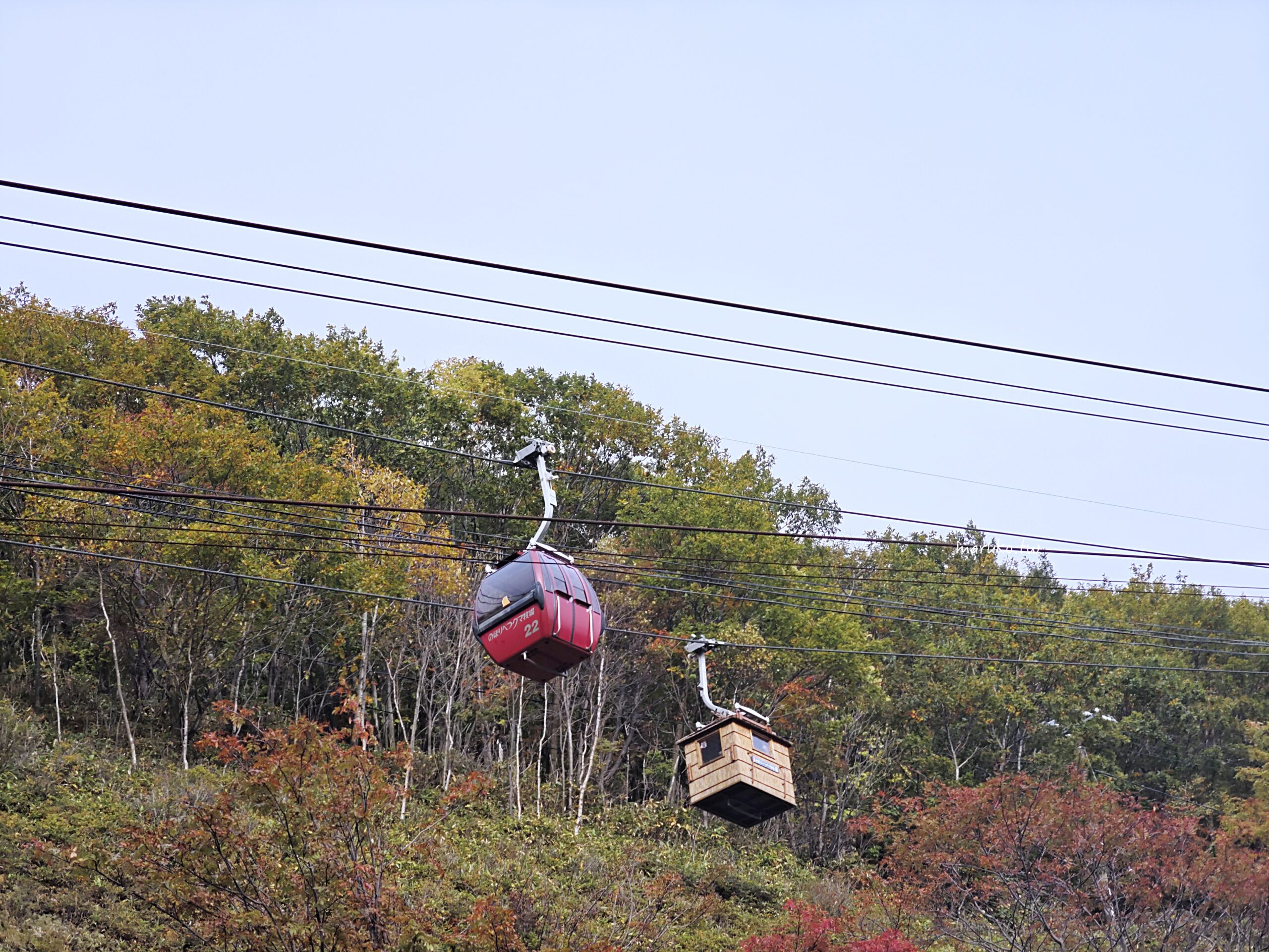 【北海道登別】登別棕熊牧場 搭纜車眺望俱多樂湖展望台,登別溫泉老街週邊景點推薦! @Maruko(丸子)與美食有個約會 【北海道登別】登別棕熊牧場 搭纜車眺望俱多樂湖展望台,登別溫泉老街週邊景點推薦! @Maruko(丸子)與美食有個約會