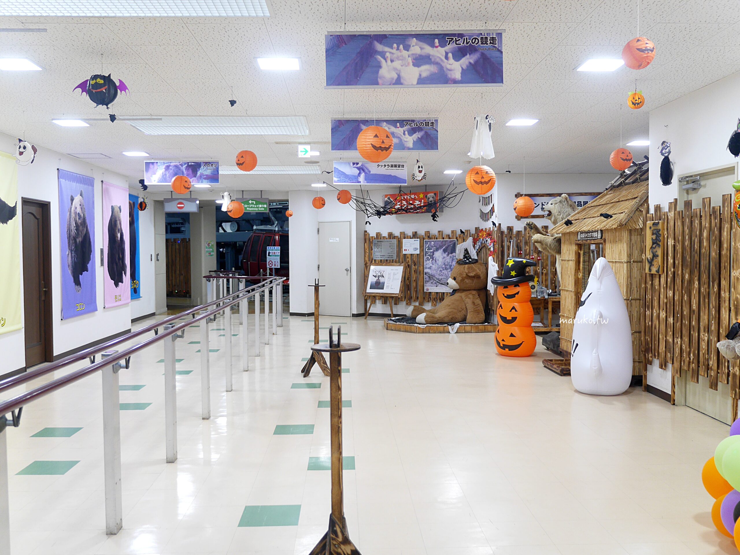 【北海道登別】登別棕熊牧場 搭纜車眺望俱多樂湖展望台,登別溫泉老街週邊景點推薦! @Maruko(丸子)與美食有個約會 【北海道登別】登別棕熊牧場 搭纜車眺望俱多樂湖展望台,登別溫泉老街週邊景點推薦! @Maruko(丸子)與美食有個約會