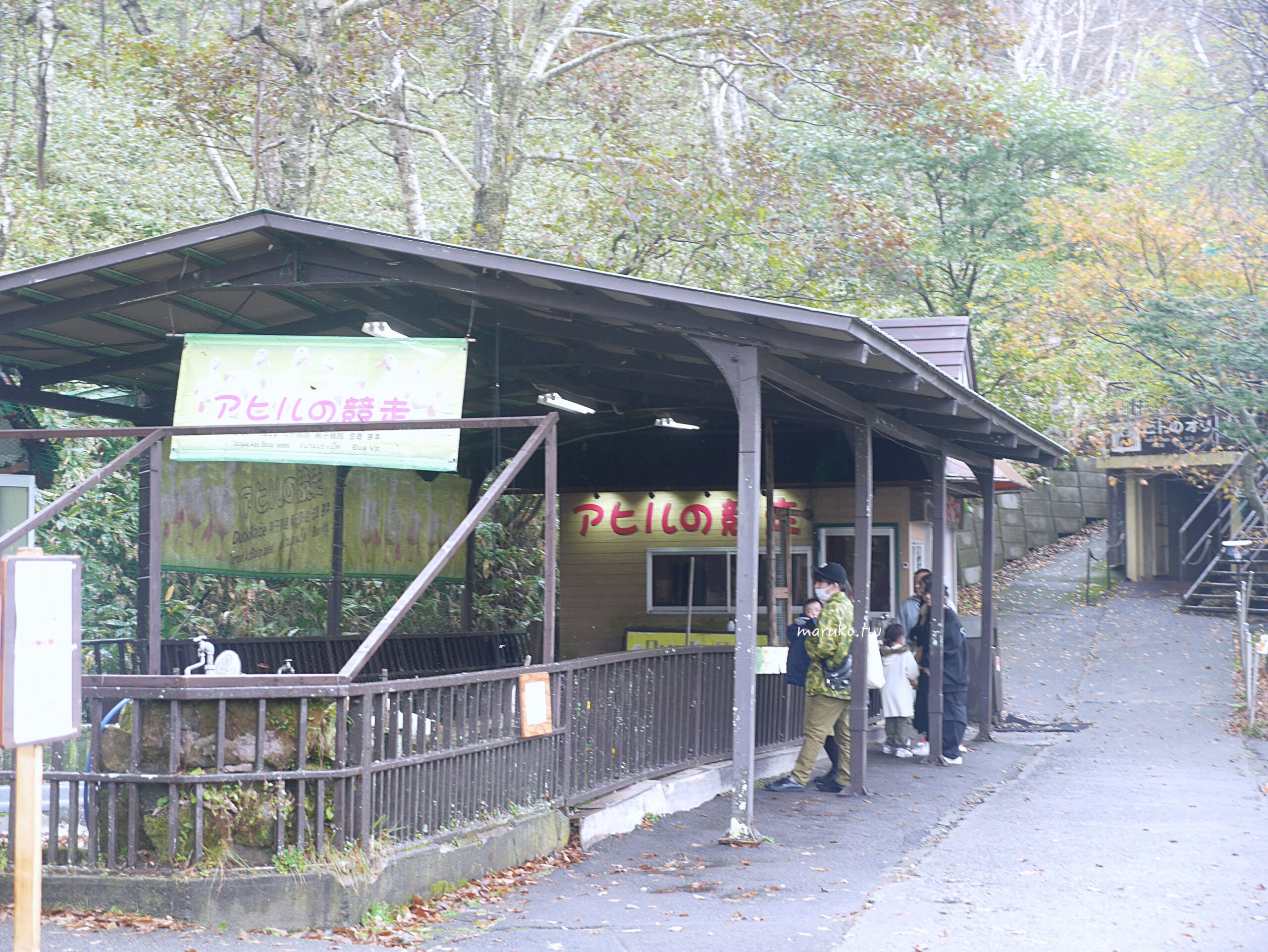 【北海道登別】登別棕熊牧場 搭纜車眺望俱多樂湖展望台,登別溫泉老街週邊景點推薦! @Maruko(丸子)與美食有個約會 【北海道登別】登別棕熊牧場 搭纜車眺望俱多樂湖展望台,登別溫泉老街週邊景點推薦! @Maruko(丸子)與美食有個約會