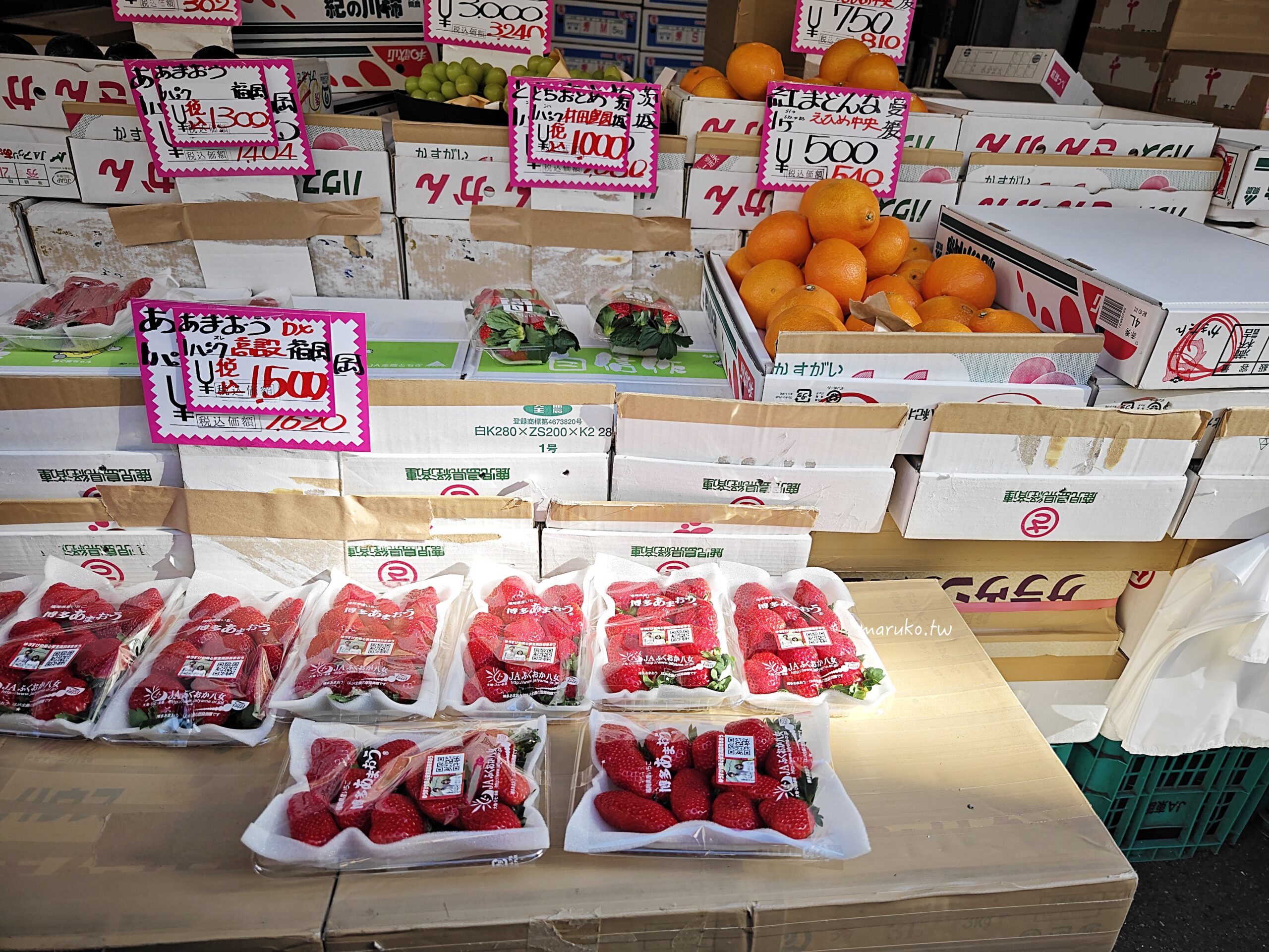 【東京築地】築地きつねや(狐狸屋牛丼) 築地場外市場創業70年人氣牛雜老店! @Maruko(丸子)與美食有個約會 【東京築地】築地きつねや(狐狸屋牛丼) 築地場外市場創業70年人氣牛雜老店! @Maruko(丸子)與美食有個約會