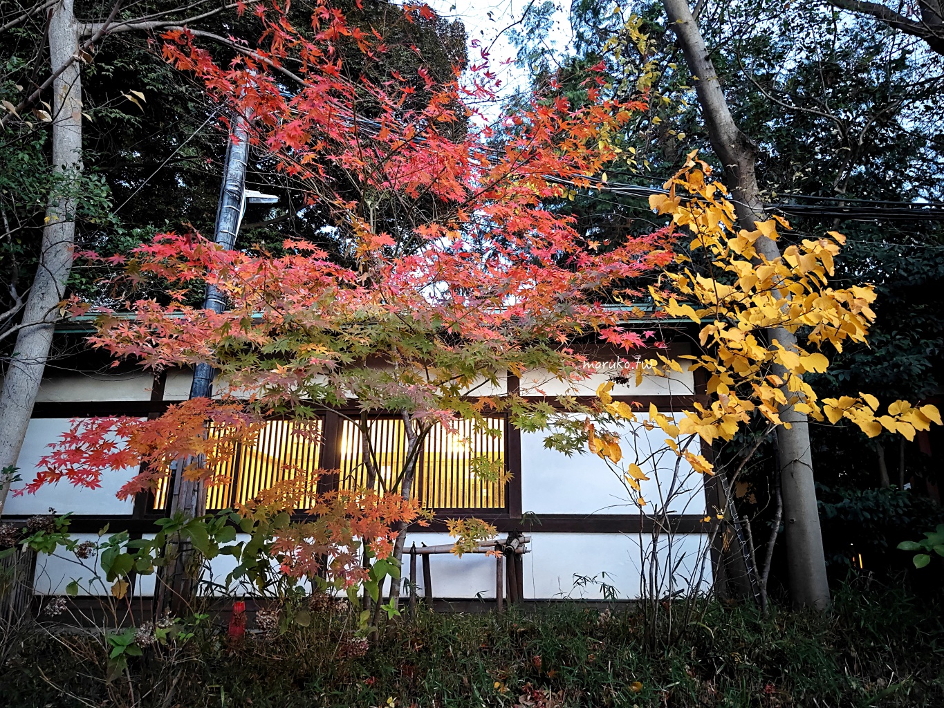 【川越景點】冰川神社 東京近郊千年歷史戀愛結緣神社 用釣的可愛造型鯛魚籤! @Maruko(丸子)與美食有個約會 【川越景點】冰川神社 東京近郊千年歷史戀愛結緣神社 用釣的可愛造型鯛魚籤! @Maruko(丸子)與美食有個約會