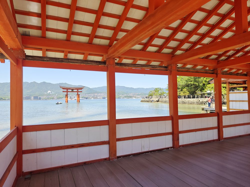 【廣島】嚴島神社 5分鐘掌握年間潮汐，滿潮、乾潮怎麼看？如何走上嚴島神社大鳥居！ @Maruko(丸子)與美食有個約會