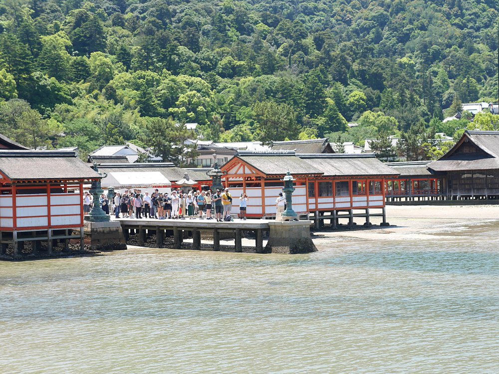 【廣島】嚴島神社 5分鐘掌握年間潮汐，滿潮、乾潮怎麼看？如何走上嚴島神社大鳥居！ @Maruko(丸子)與美食有個約會