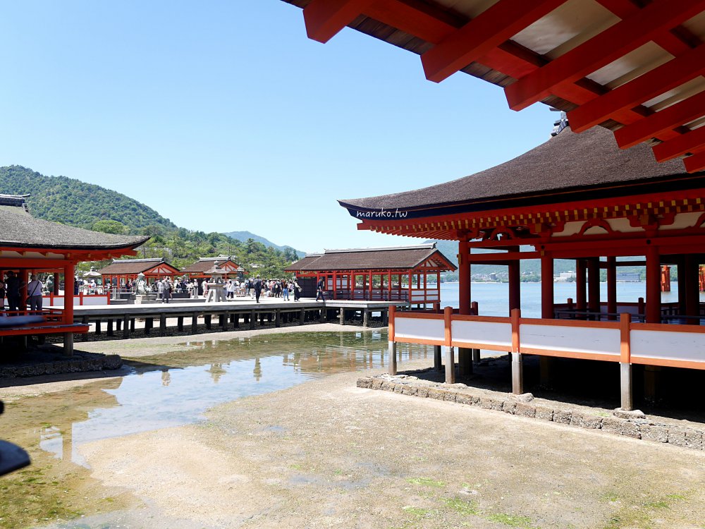 【廣島】嚴島神社 5分鐘掌握年間潮汐，滿潮、乾潮怎麼看？如何走上嚴島神社大鳥居！ @Maruko(丸子)與美食有個約會