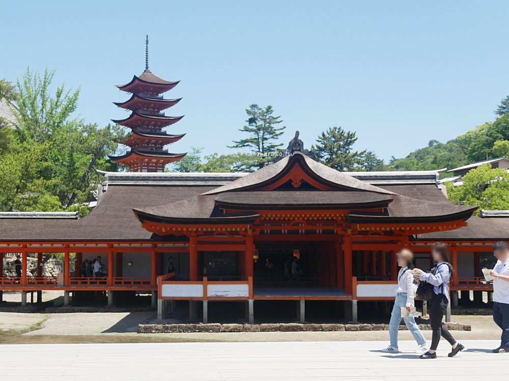 【廣島】嚴島神社 5分鐘掌握年間潮汐，滿潮、乾潮怎麼看？如何走上嚴島神社大鳥居！ @Maruko(丸子)與美食有個約會