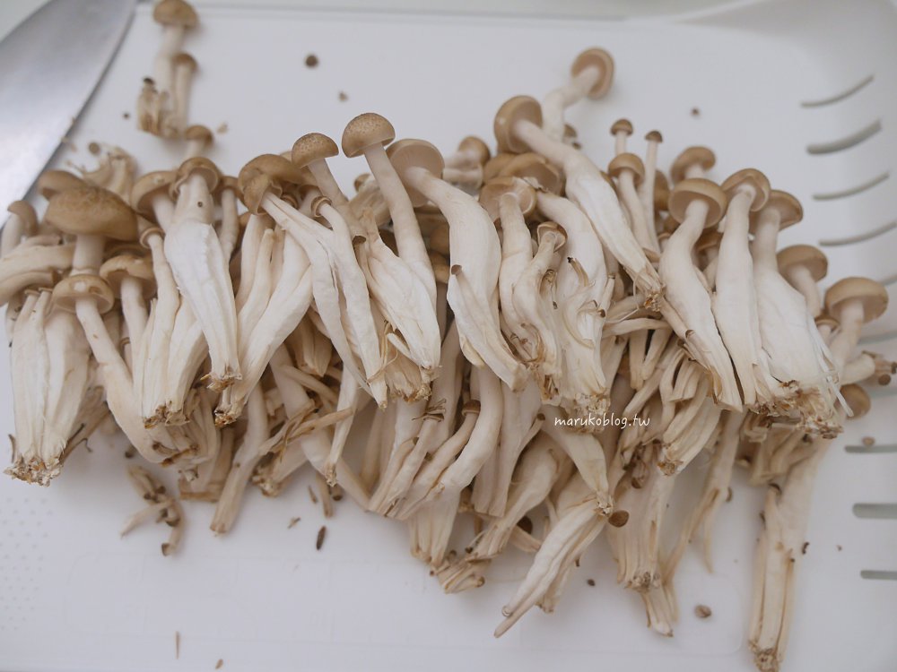 【10分鐘上菜】鴻禧菇炒蛋食譜｜只需2樣食材！超快速家常便當菜，新手必學 @Maruko(丸子)與美食有個約會
