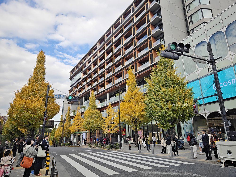 【2025東京銀杏景點】地鐵可到的 3 大賞銀杏路線|最佳見頃時間+拍照重點一次看 @Maruko(丸子)與美食有個約會 【2025東京銀杏景點】地鐵可到的 3 大賞銀杏路線|最佳見頃時間+拍照重點一次看 @Maruko(丸子)與美食有個約會