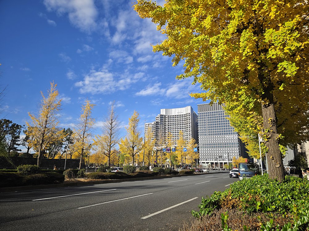【2025東京銀杏景點】地鐵可到的 3 大賞銀杏路線|最佳見頃時間+拍照重點一次看 @Maruko(丸子)與美食有個約會 【2025東京銀杏景點】地鐵可到的 3 大賞銀杏路線|最佳見頃時間+拍照重點一次看 @Maruko(丸子)與美食有個約會