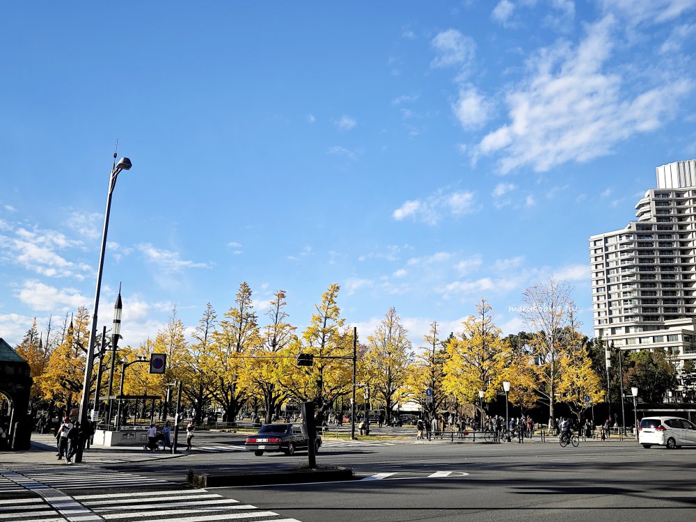 【2025東京銀杏景點】地鐵可到的 3 大賞銀杏路線|最佳見頃時間+拍照重點一次看 @Maruko(丸子)與美食有個約會 【2025東京銀杏景點】地鐵可到的 3 大賞銀杏路線|最佳見頃時間+拍照重點一次看 @Maruko(丸子)與美食有個約會