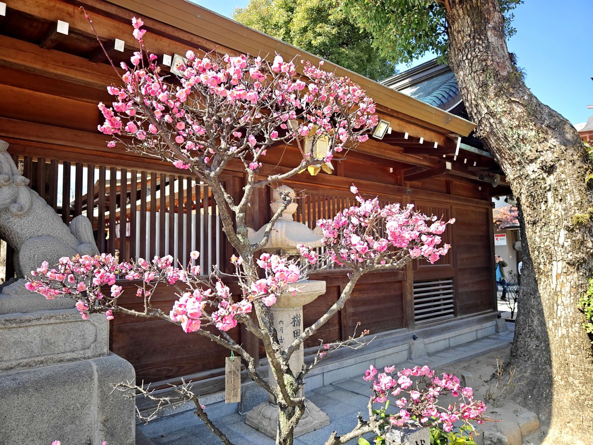 福岡景點「櫛田神社」四季皆美近上川端通商店街、博多運河城、中洲屋台一日行程推薦 @Maruko(丸子)與美食有個約會