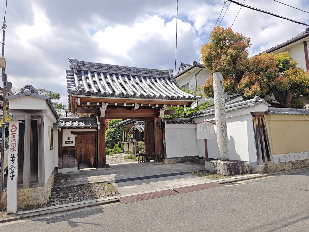 【搭公車玩京都】達摩寺（だるま寺）｜隱藏版小眾寺廟，近300年歷史＋8000尊可愛達摩一次看夠！ @Maruko(丸子)與美食有個約會