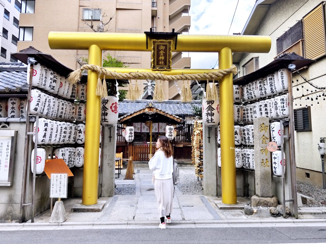 【2025京都景點推薦】金色鳥居・御金神社｜求財必訪！銀杏御守・銀杏繪馬完整介紹 @Maruko(丸子)與美食有個約會