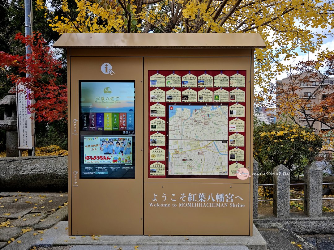 【福岡紅葉景點】紅葉八幡宮｜在地人私藏賞楓秘境，絕美紅葉御守與特色繪馬推薦 @Maruko(丸子)與美食有個約會