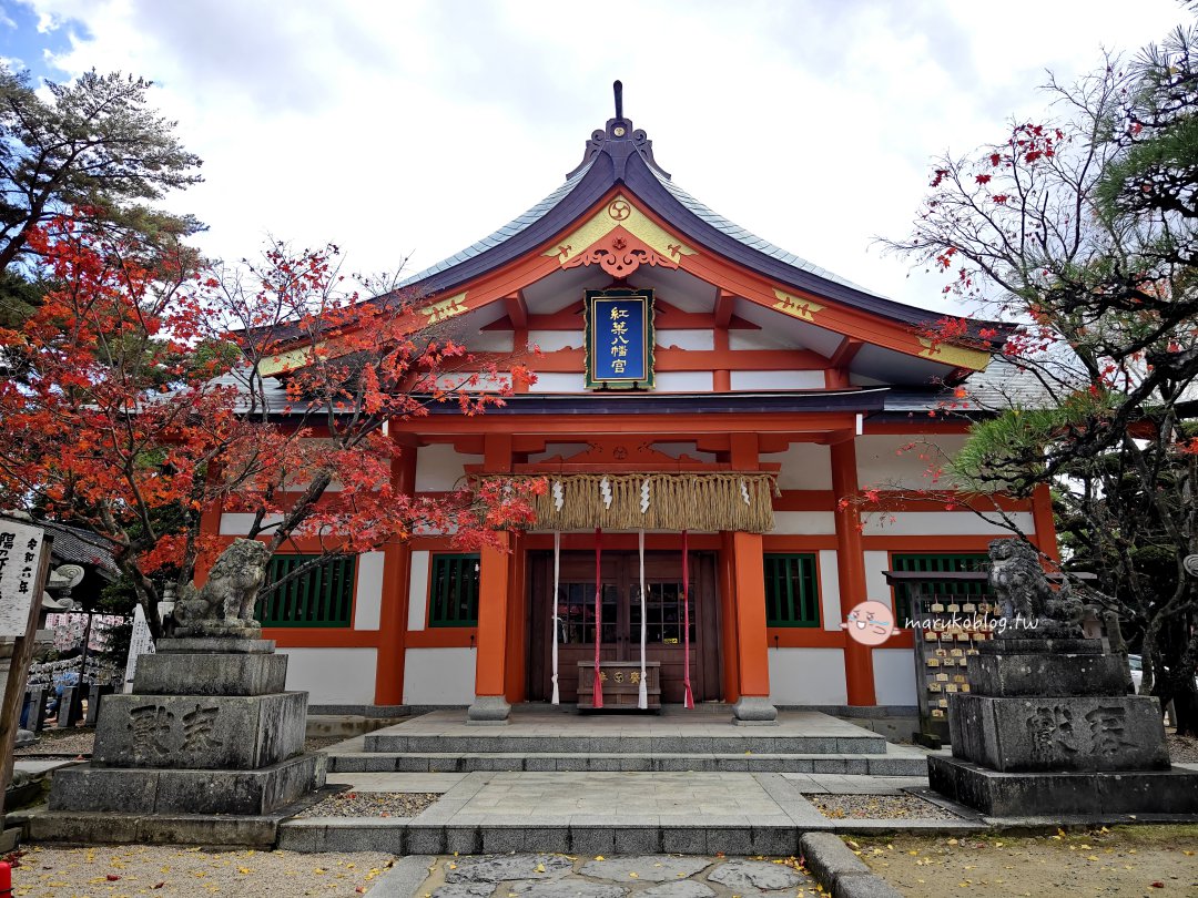 【福岡紅葉景點】紅葉八幡宮|在地人私藏賞楓秘境,絕美紅葉御守與特色繪馬推薦 @Maruko(丸子)與美食有個約會 【福岡紅葉景點】紅葉八幡宮|在地人私藏賞楓秘境,絕美紅葉御守與特色繪馬推薦 @Maruko(丸子)與美食有個約會