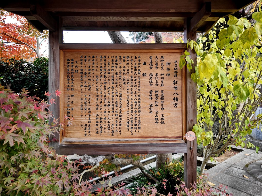 【福岡紅葉景點】紅葉八幡宮|在地人私藏賞楓秘境,絕美紅葉御守與特色繪馬推薦 @Maruko(丸子)與美食有個約會 【福岡紅葉景點】紅葉八幡宮|在地人私藏賞楓秘境,絕美紅葉御守與特色繪馬推薦 @Maruko(丸子)與美食有個約會