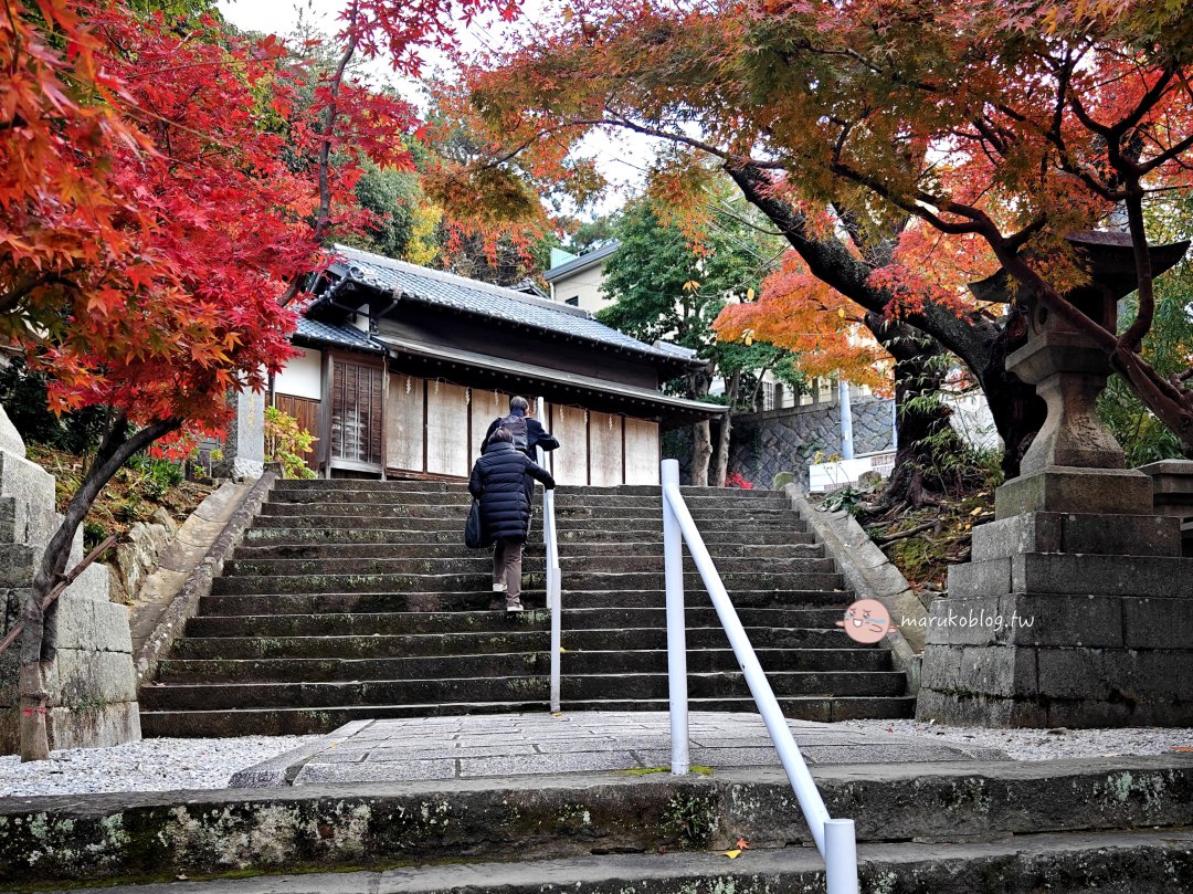 【福岡紅葉景點】紅葉八幡宮|在地人私藏賞楓秘境,絕美紅葉御守與特色繪馬推薦 @Maruko(丸子)與美食有個約會 【福岡紅葉景點】紅葉八幡宮|在地人私藏賞楓秘境,絕美紅葉御守與特色繪馬推薦 @Maruko(丸子)與美食有個約會