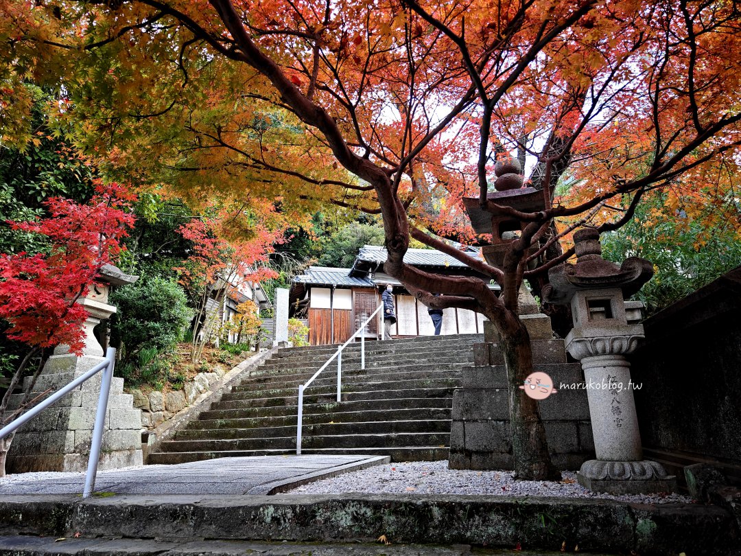 【福岡紅葉景點】紅葉八幡宮｜在地人私藏賞楓秘境，絕美紅葉御守與特色繪馬推薦 @Maruko(丸子)與美食有個約會