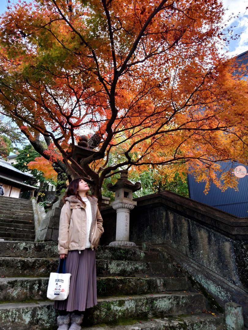 【福岡紅葉景點】紅葉八幡宮｜在地人私藏賞楓秘境，絕美紅葉御守與特色繪馬推薦 @Maruko(丸子)與美食有個約會