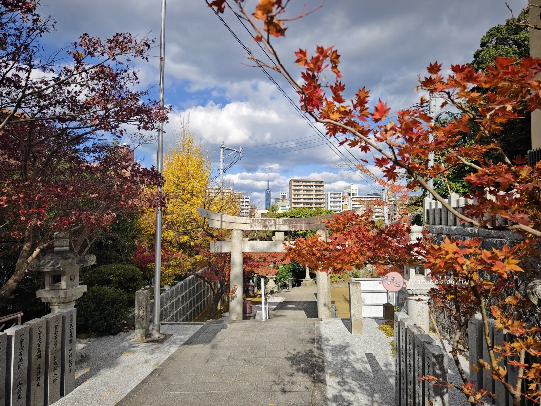【福岡紅葉景點】紅葉八幡宮|在地人私藏賞楓秘境,絕美紅葉御守與特色繪馬推薦 @Maruko(丸子)與美食有個約會 【福岡紅葉景點】紅葉八幡宮|在地人私藏賞楓秘境,絕美紅葉御守與特色繪馬推薦 @Maruko(丸子)與美食有個約會