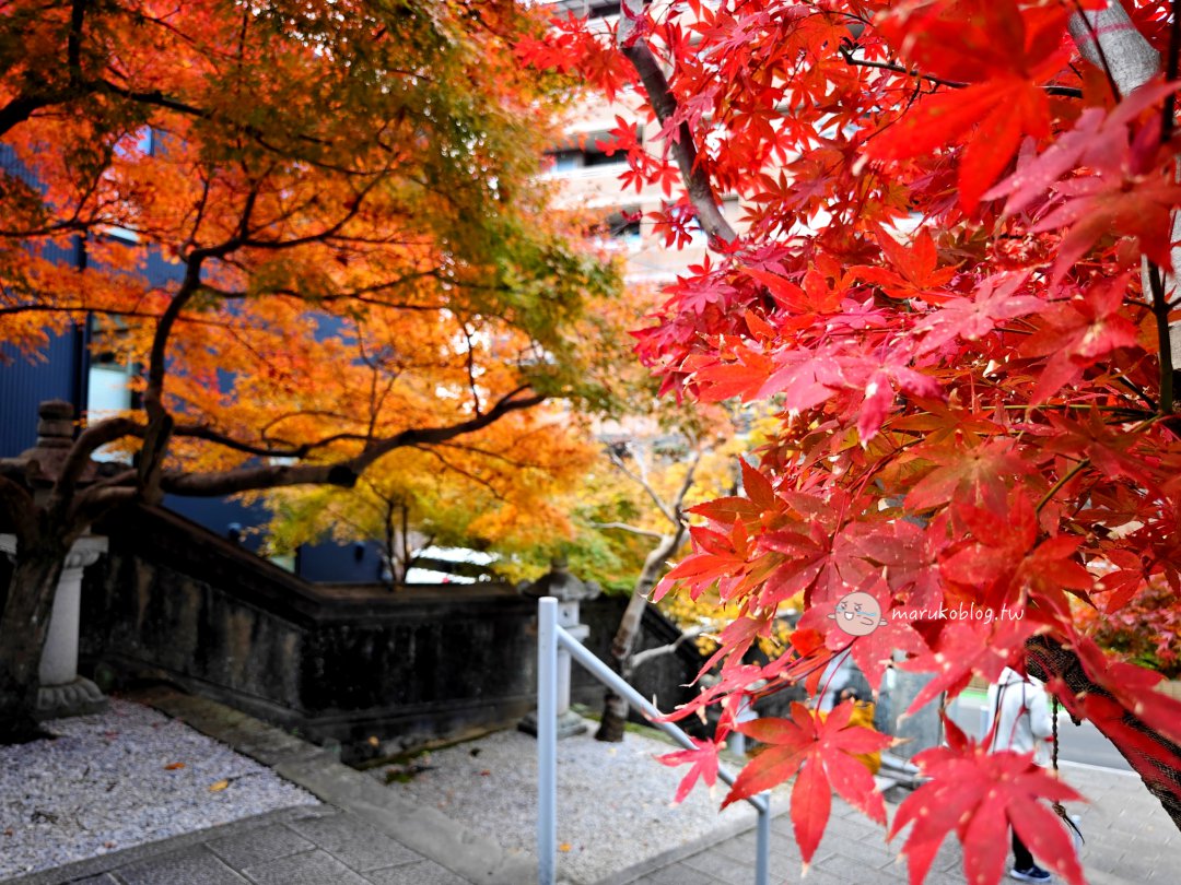 【福岡紅葉景點】紅葉八幡宮｜在地人私藏賞楓秘境，絕美紅葉御守與特色繪馬推薦 @Maruko(丸子)與美食有個約會