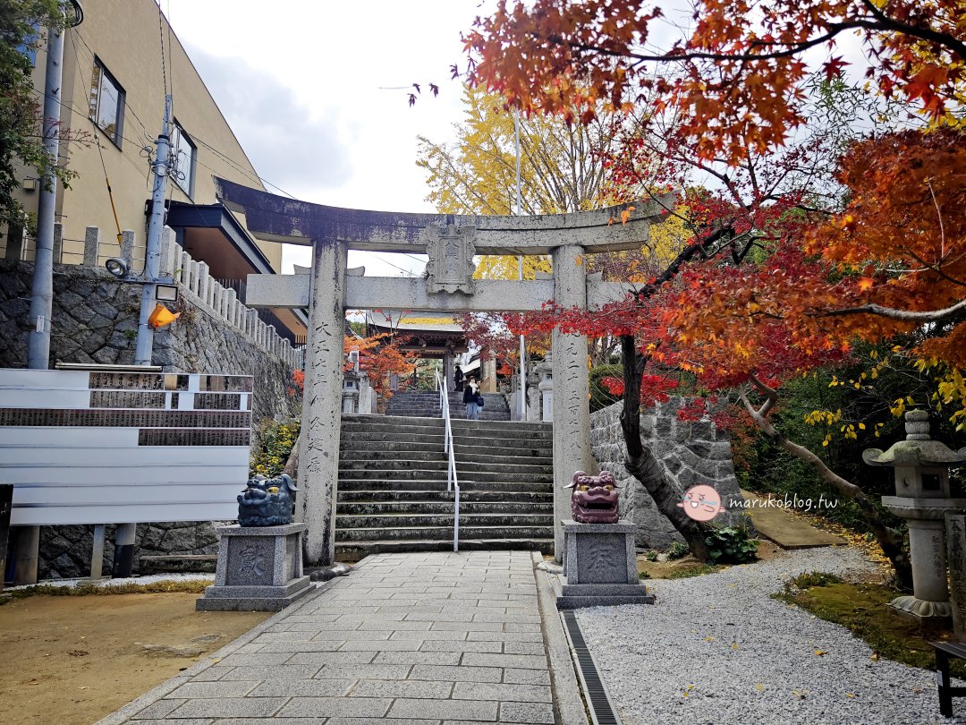 【福岡紅葉景點】紅葉八幡宮|在地人私藏賞楓秘境,絕美紅葉御守與特色繪馬推薦 @Maruko(丸子)與美食有個約會 【福岡紅葉景點】紅葉八幡宮|在地人私藏賞楓秘境,絕美紅葉御守與特色繪馬推薦 @Maruko(丸子)與美食有個約會