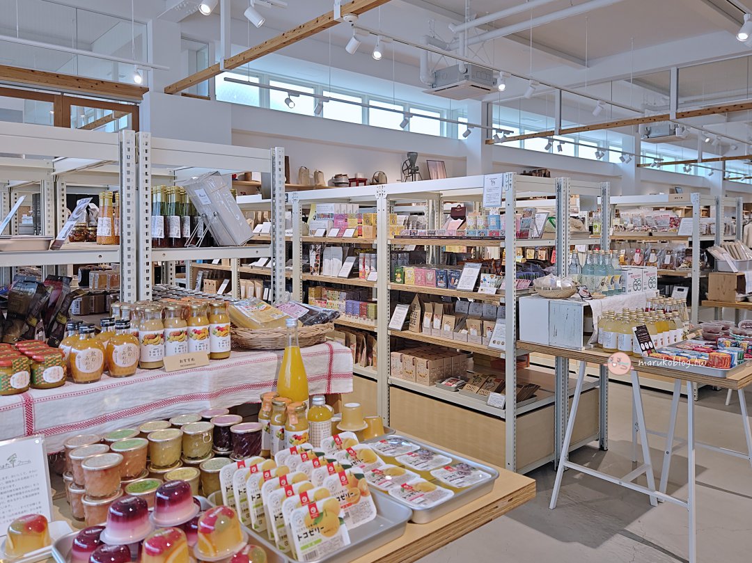 【鳥取選物店】Am’s(アムズ)鳥取購物推薦|風格選物店、赤線均一百元巴士可到,質感生活提案好好逛! @Maruko(丸子)與美食有個約會 【鳥取選物店】Am’s(アムズ)鳥取購物推薦|風格選物店、赤線均一百元巴士可到,質感生活提案好好逛! @Maruko(丸子)與美食有個約會
