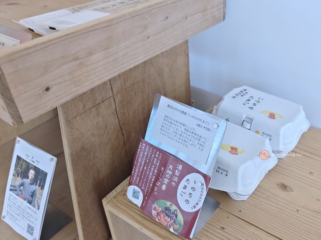 【鳥取選物店】Am’s(アムズ)鳥取購物推薦|風格選物店、赤線均一百元巴士可到,質感生活提案好好逛! @Maruko(丸子)與美食有個約會 【鳥取選物店】Am’s(アムズ)鳥取購物推薦|風格選物店、赤線均一百元巴士可到,質感生活提案好好逛! @Maruko(丸子)與美食有個約會