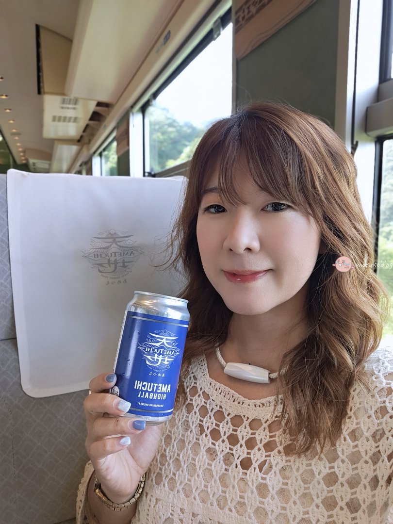 鳥取觀光列車｜天地號（あめつち）搭乘體驗與購票攻略：JR山陰本線夢幻列車之旅分享 @Maruko(丸子)與美食有個約會