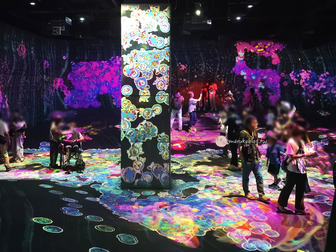福岡雨天避暑景點「teamLab Forest 森林福岡」攻略|BOSS E・ZO FUKUOKA交通方式、門票購買、參觀時間&拍照技巧完整整理 @Maruko(丸子)與美食有個約會 福岡雨天避暑景點「teamLab Forest 森林福岡」攻略|BOSS E・ZO FUKUOKA交通方式、門票購買、參觀時間&拍照技巧完整整理 @Maruko(丸子)與美食有個約會
