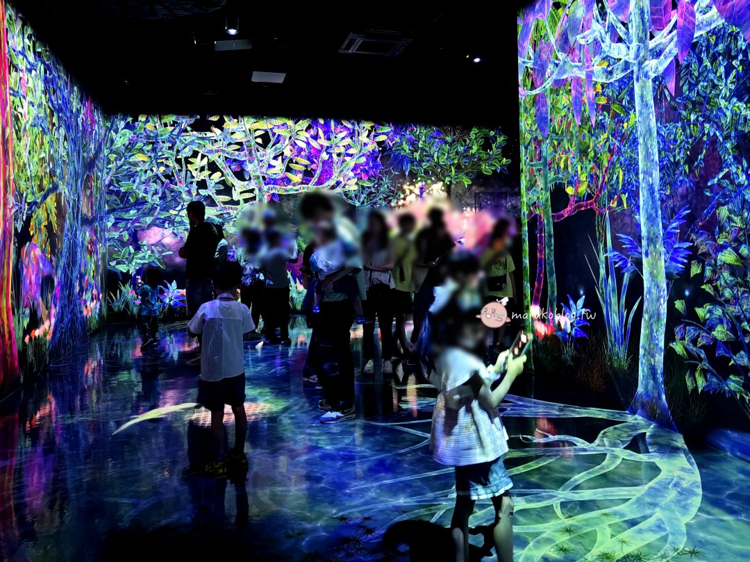 福岡雨天避暑景點「teamLab Forest 森林福岡」攻略|BOSS E・ZO FUKUOKA交通方式、門票購買、參觀時間&拍照技巧完整整理 @Maruko(丸子)與美食有個約會 福岡雨天避暑景點「teamLab Forest 森林福岡」攻略|BOSS E・ZO FUKUOKA交通方式、門票購買、參觀時間&拍照技巧完整整理 @Maruko(丸子)與美食有個約會