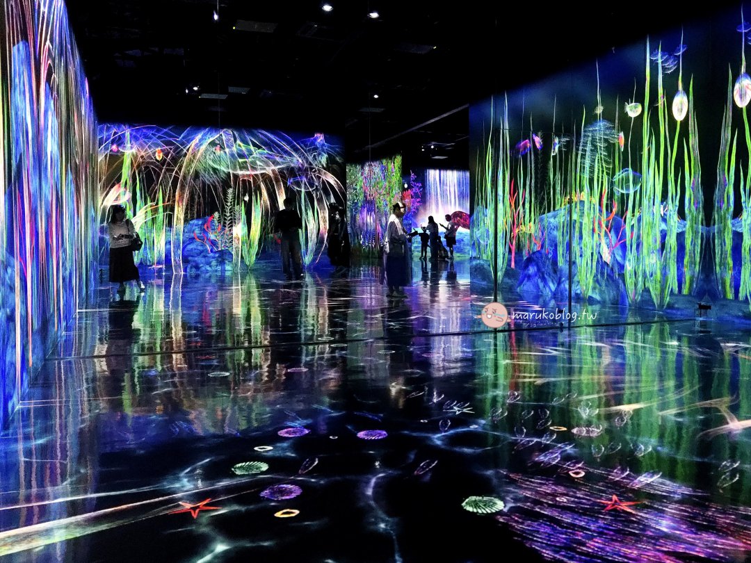 福岡雨天避暑景點「teamLab Forest 森林福岡」攻略|BOSS E・ZO FUKUOKA交通方式、門票購買、參觀時間&拍照技巧完整整理 @Maruko(丸子)與美食有個約會 福岡雨天避暑景點「teamLab Forest 森林福岡」攻略|BOSS E・ZO FUKUOKA交通方式、門票購買、參觀時間&拍照技巧完整整理 @Maruko(丸子)與美食有個約會