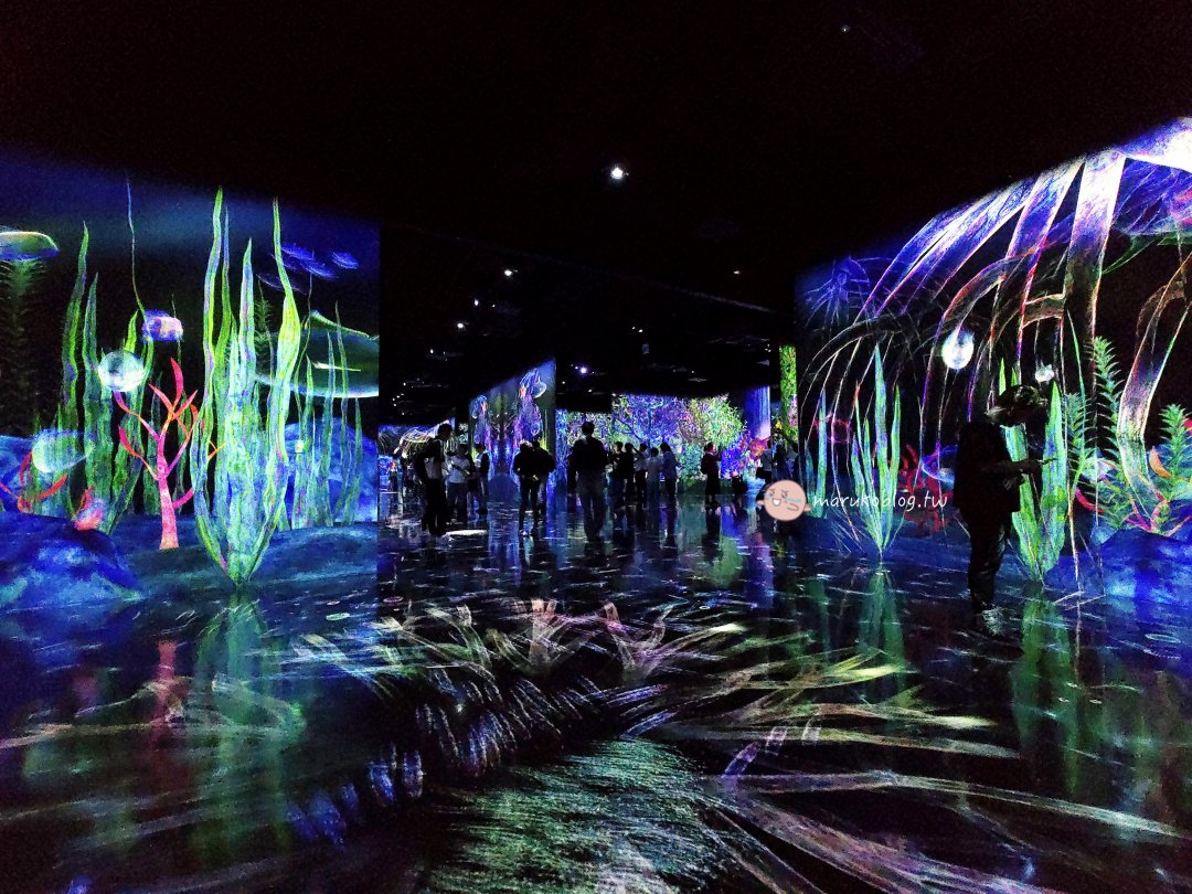 福岡雨天避暑景點「teamLab Forest 森林福岡」攻略|BOSS E・ZO FUKUOKA交通方式、門票購買、參觀時間&拍照技巧完整整理 @Maruko(丸子)與美食有個約會 福岡雨天避暑景點「teamLab Forest 森林福岡」攻略|BOSS E・ZO FUKUOKA交通方式、門票購買、參觀時間&拍照技巧完整整理 @Maruko(丸子)與美食有個約會
