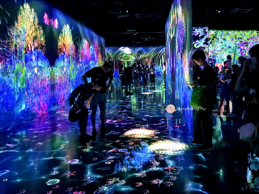 福岡雨天避暑景點「teamLab Forest 森林福岡」攻略|BOSS E・ZO FUKUOKA交通方式、門票購買、參觀時間&拍照技巧完整整理 @Maruko(丸子)與美食有個約會 福岡雨天避暑景點「teamLab Forest 森林福岡」攻略|BOSS E・ZO FUKUOKA交通方式、門票購買、參觀時間&拍照技巧完整整理 @Maruko(丸子)與美食有個約會